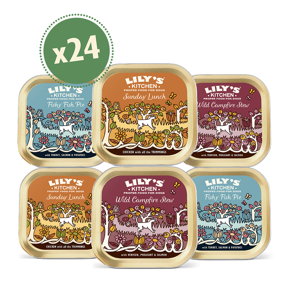 Grain Free Recipes Multipack (24 x 150g)