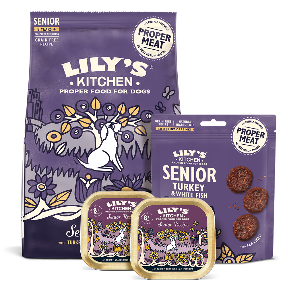 Trial Pack for Senior Dogs