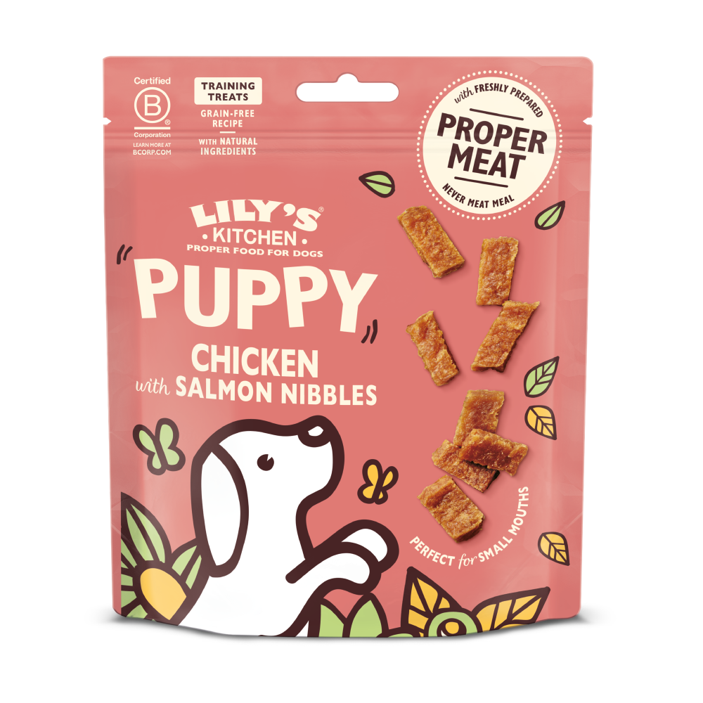 Chicken Nibbles with Salmon Puppy Treats (70g)