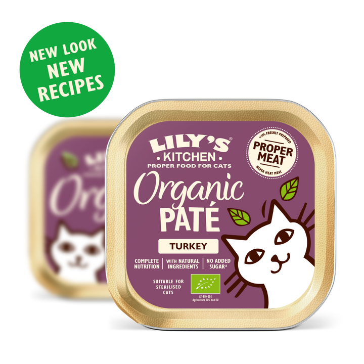 Organic Turkey Paté (85g)