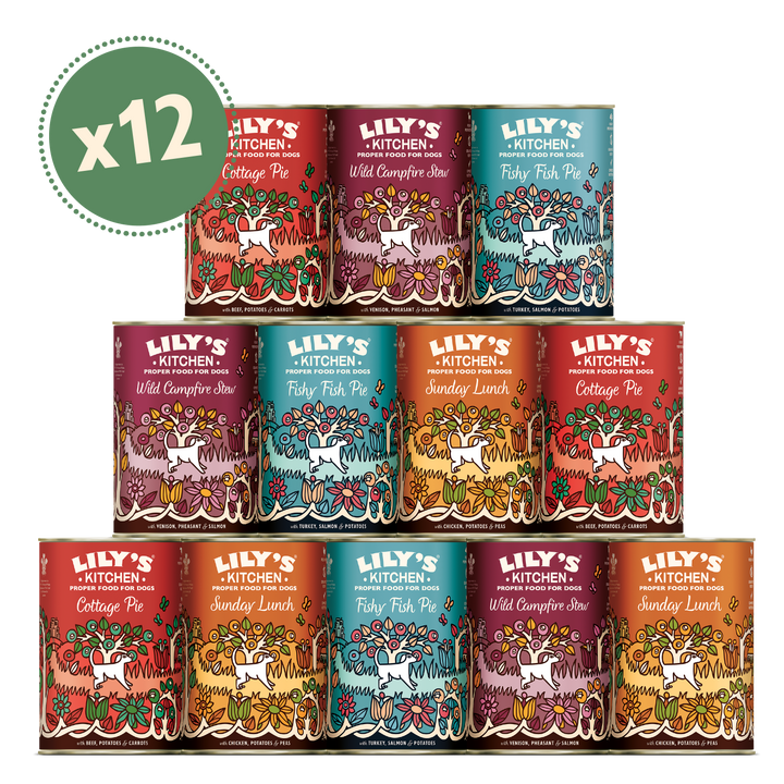 Grain Free Recipes Multipack (12 x 400g)