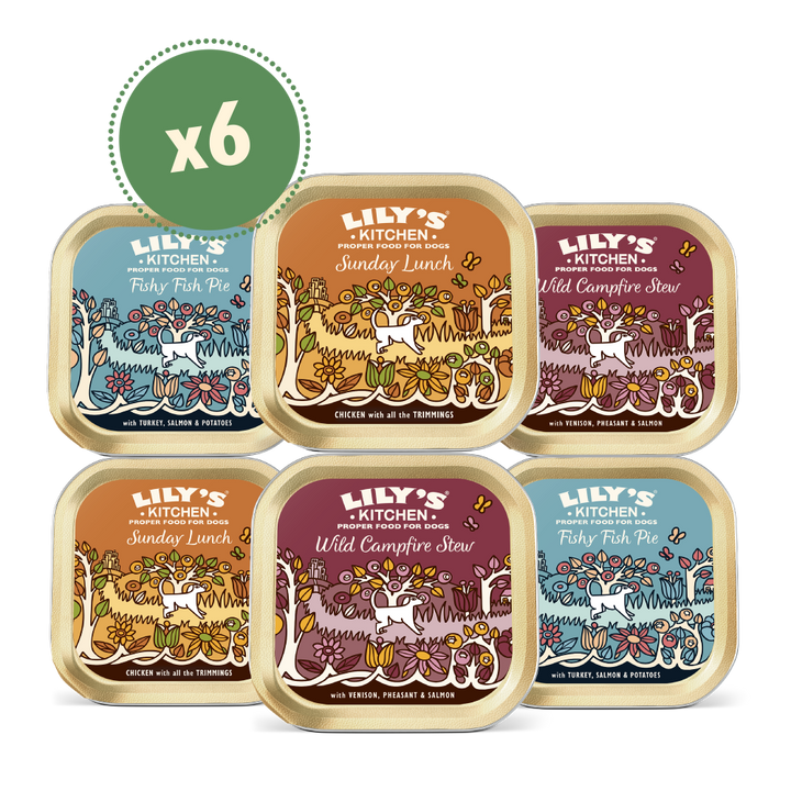Grain Free Recipes Multipack (6 x 150g)