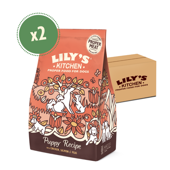 Chicken & Salmon Dry Food for Puppies (2 x 7kg)