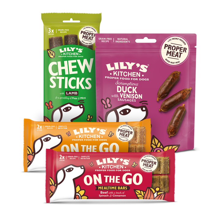 Day Out Bundle for Dogs
