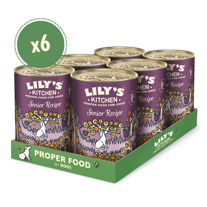 Senior Recipe for Older Dogs (6 x 400g)