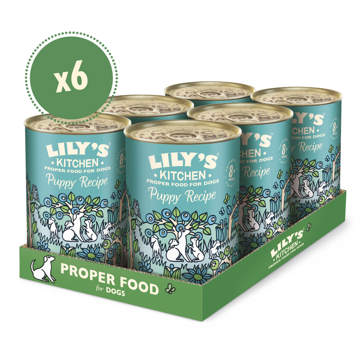 Turkey & Duck Puppy Recipe (6 x 400g)