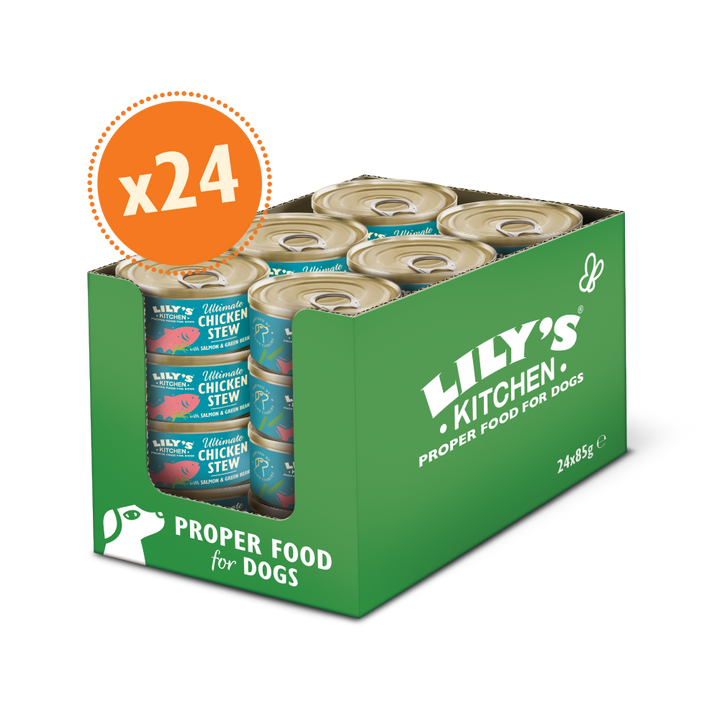 Ultimate Chicken Stew with Salmon & Green Beans (24 x 85g)