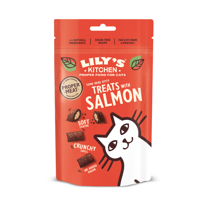 Treats with Salmon (60g)